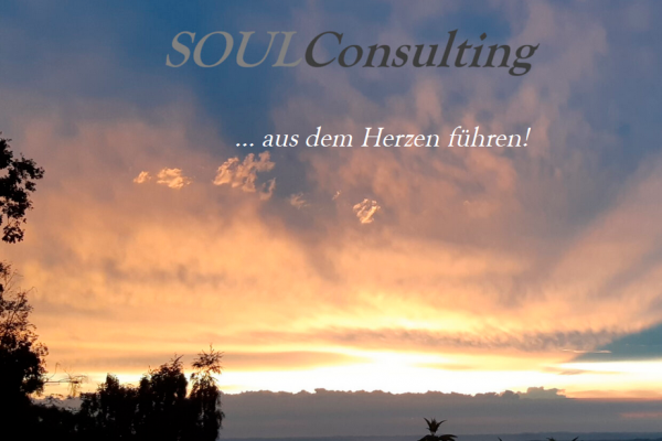 SOULConsulting Helmut Posch GmbH
